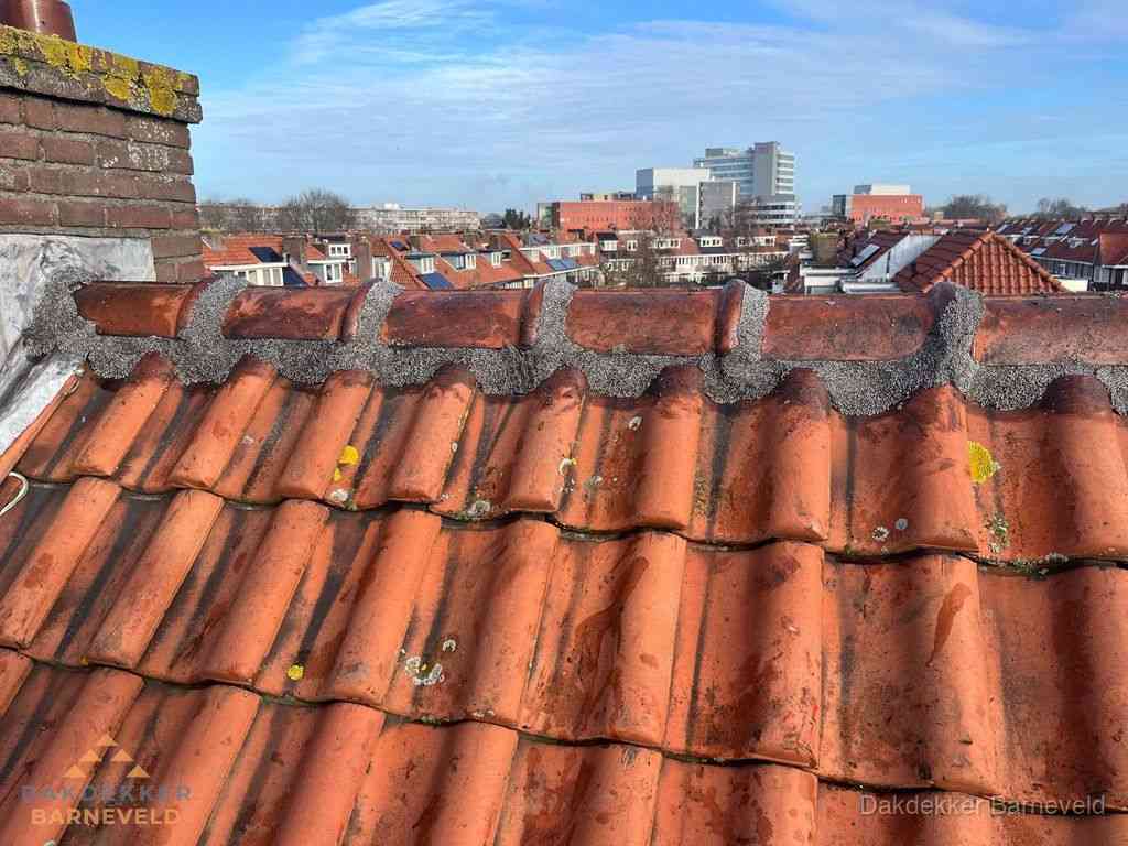 Nieuw bitumen plat dak met uitzicht over woonwijk in Barneveld