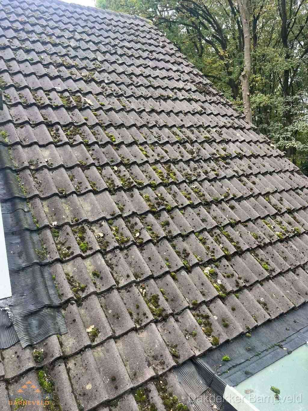 Verweerd pannendak met mosgroei dat renovatie nodig heeft in Barneveld