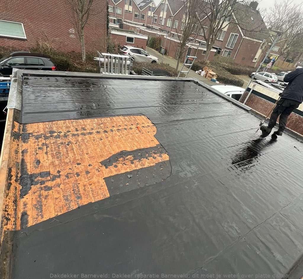 Dakleer Reparatie Barneveld