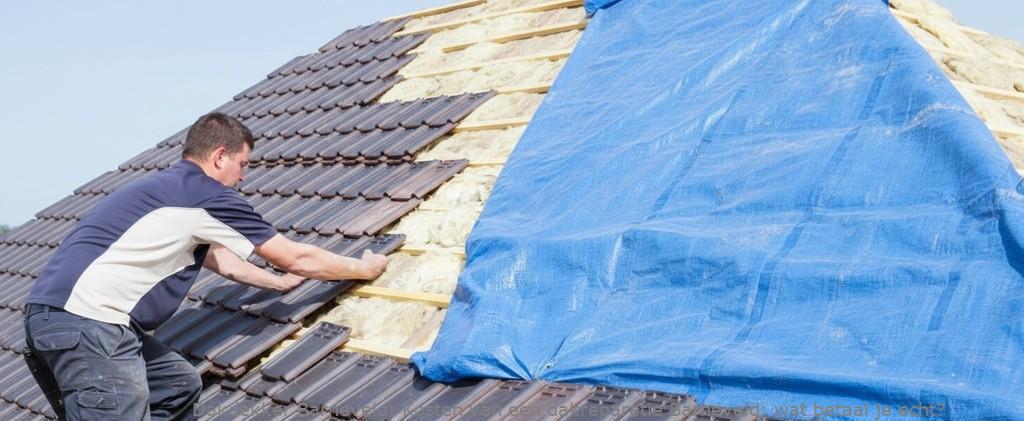 Kosten Van Een Dakreparatie Barneveld