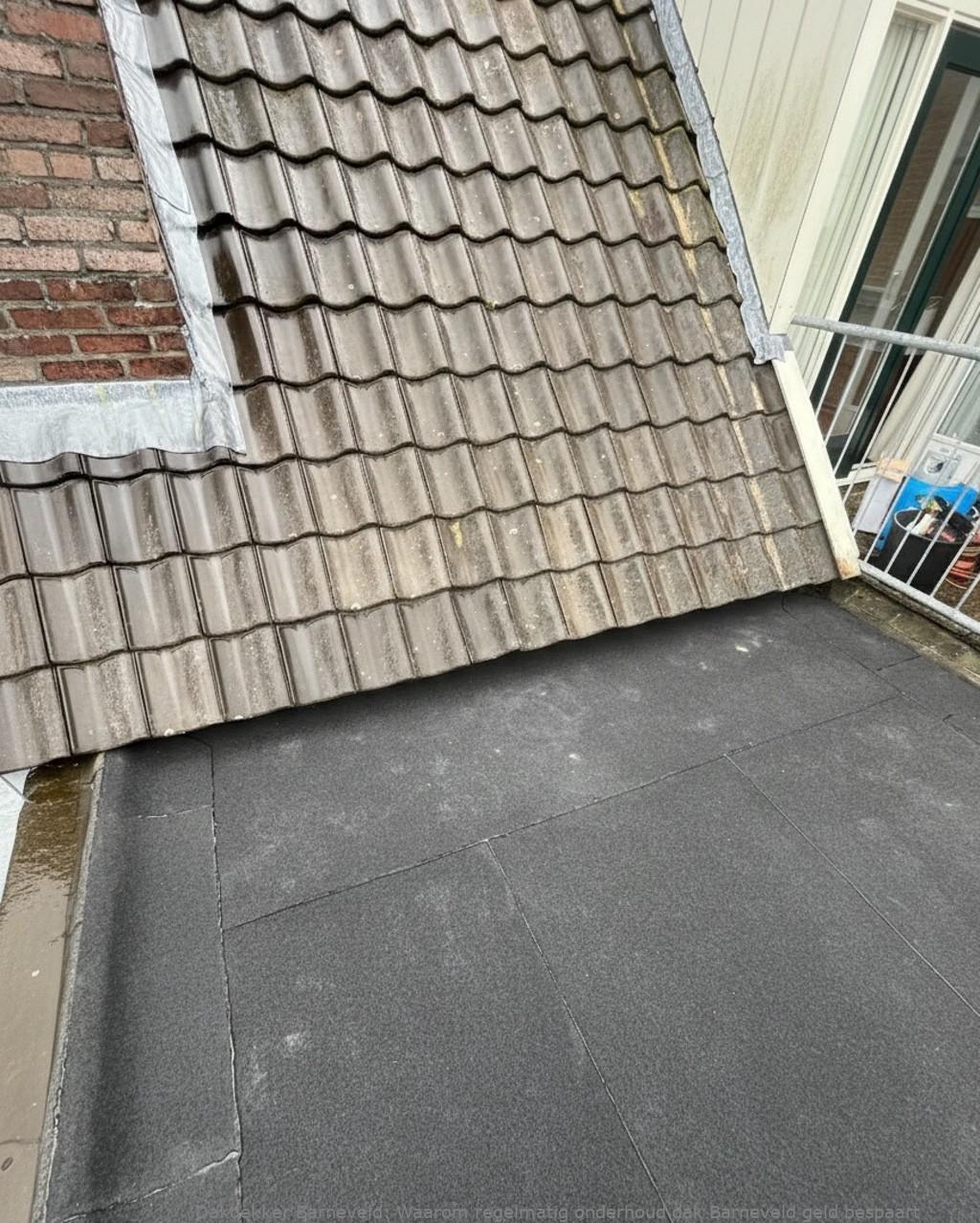Onderhoud Dak Barneveld