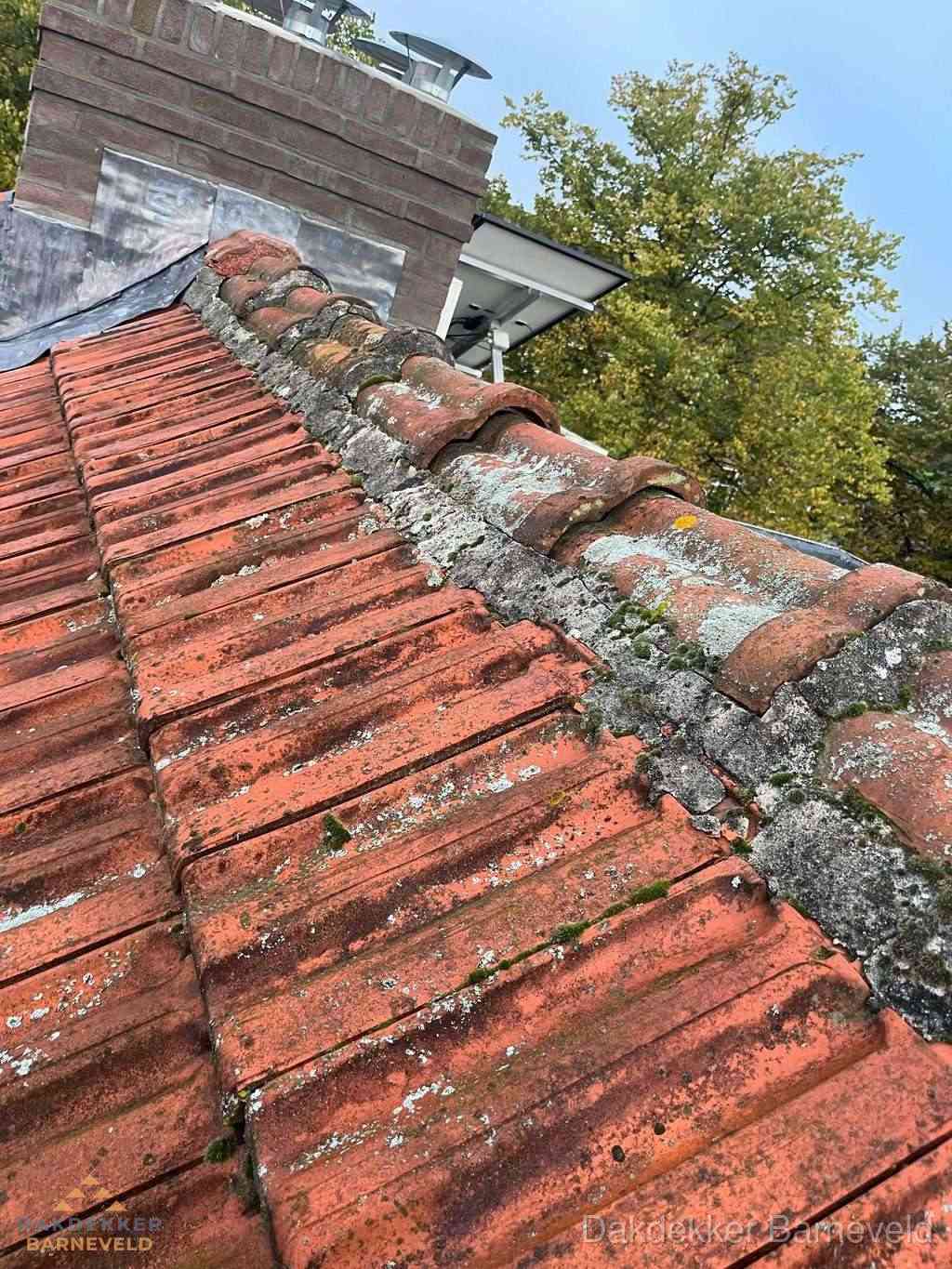 Renovatie Hellend Dak Barneveld