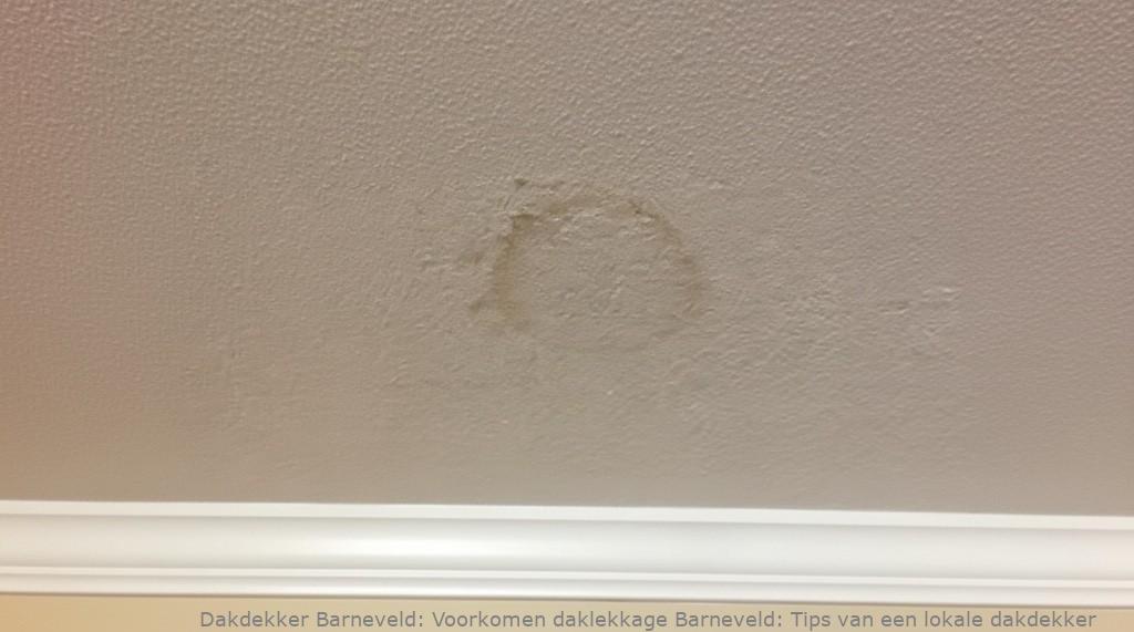 Voorkomen Daklekkage Barneveld